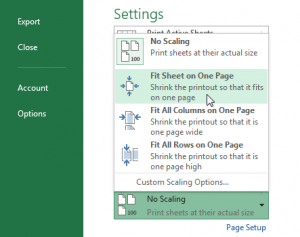 Now select Fit Sheet to print your Excel file on one page